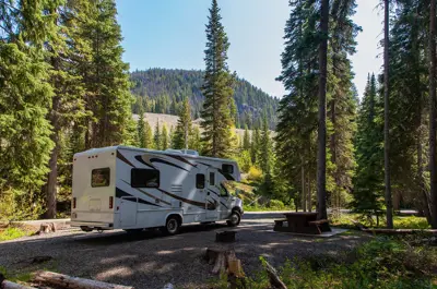 RV camper driving through a forest