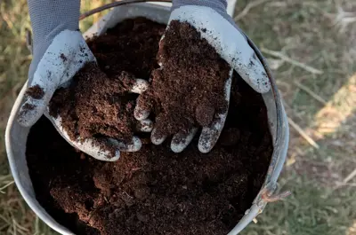 Hands wearing gloves digging into bucket of compost