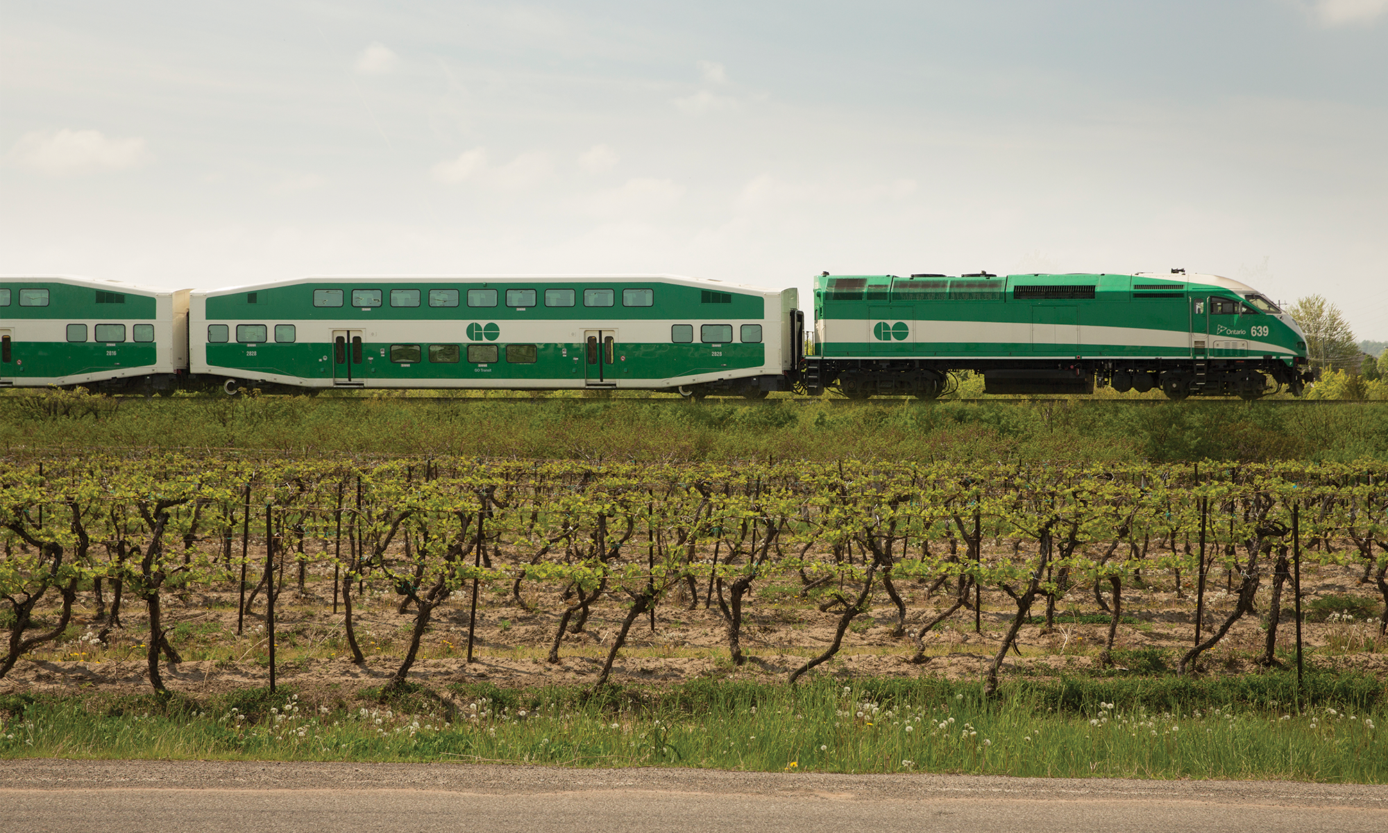 Go Train traveling through Niagara
